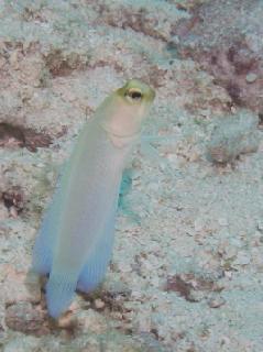 IMG_4809-320.jpg