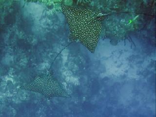 IMG_5026-320.jpg