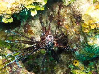 IMG_7387-320.jpg