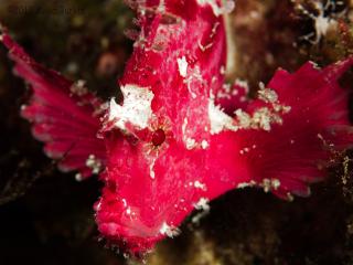 P8260162-320.jpg
