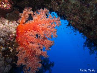 IMG_1027-320.jpg