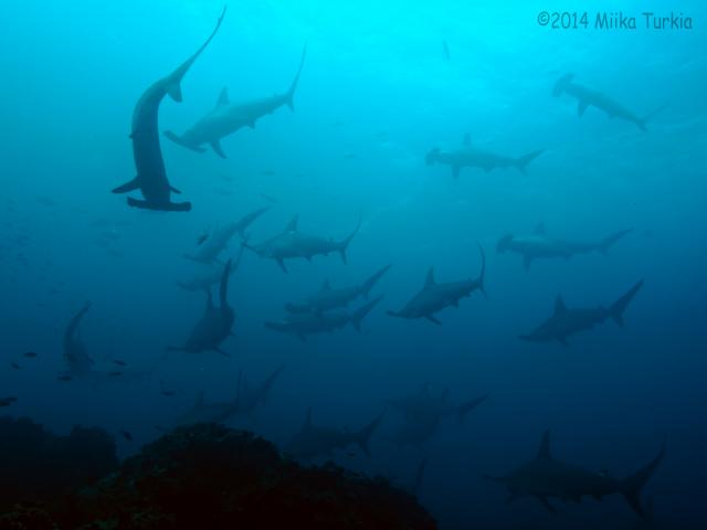 P3041412_2.jpg