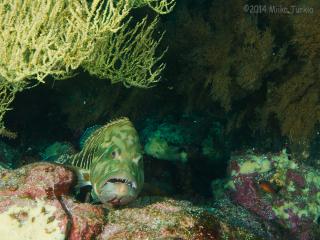 P3080117-320.jpg