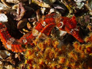 P3080119-320.jpg