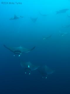 P3080148-320.jpg