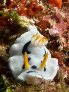 IMG_7813-320.jpg