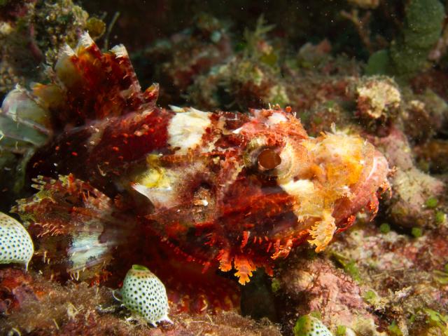 IMG_9162.jpg