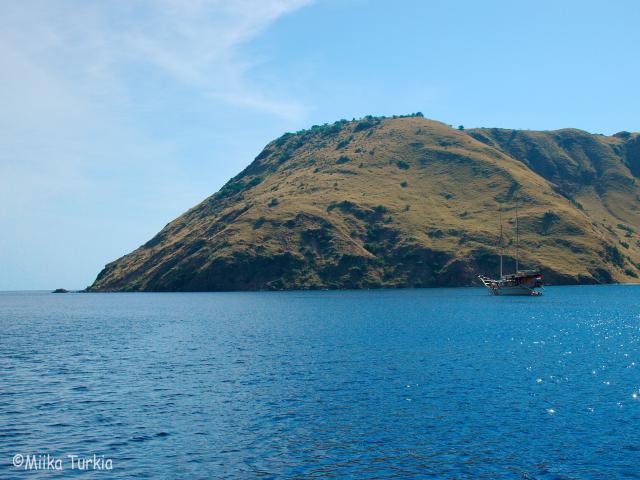 P7192841.jpg