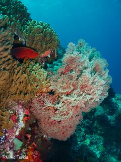 P7254236-320.jpg