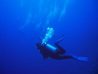 P4037001-320.jpg