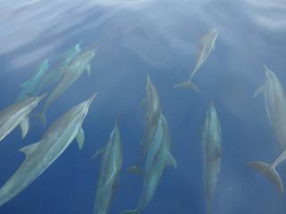 P4057304-320.jpg
