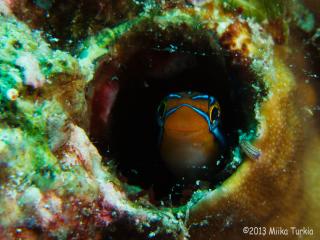 P4077604-320.jpg
