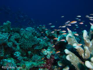 P4087671-320.jpg