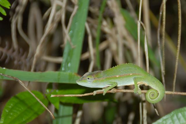 DSC_1745.jpg