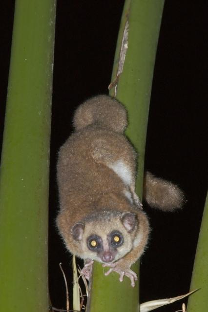 DSC_2373.jpg