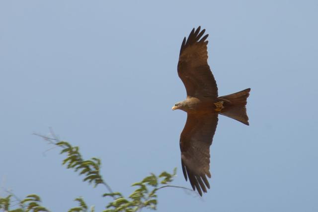 DSC_2800.jpg