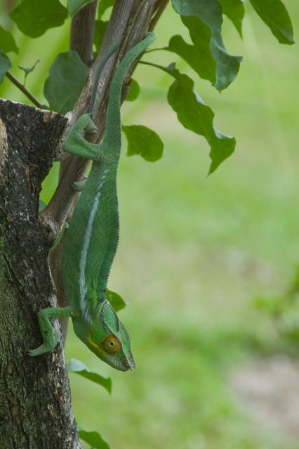 DSC_2814.jpg