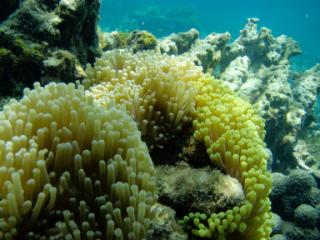 PB290160-320.jpg