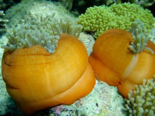 PB290162-320.jpg