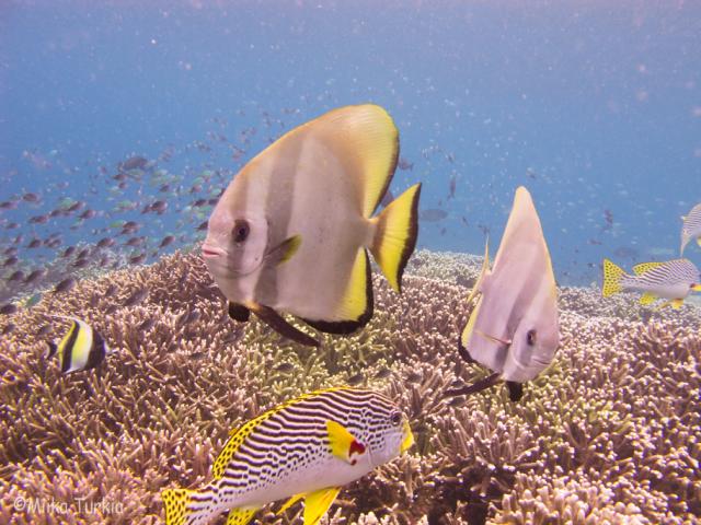 IMG_3216.jpg