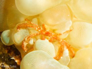 IMG_9781-320.jpg