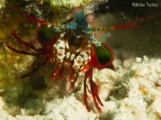 IMG_9792-320.jpg