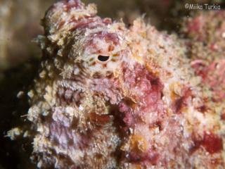 IMG_9829-320.jpg