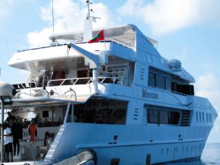 IMG_0681-320.jpg